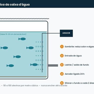 Estrutura do sistema